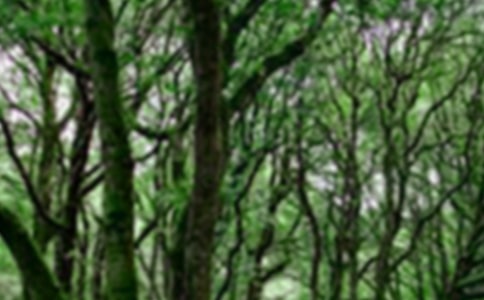 ɭ�ֈ��x���[����15ƪ]