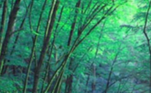 ���M��ɭ������[���x]