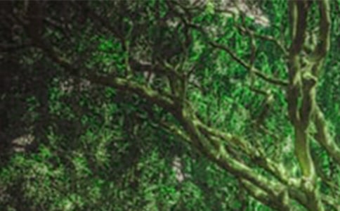 ɭ�ֱ�����ِ����