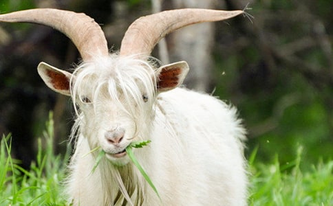 ������ɽ�򲻳����òݡ��x���ի@�ĵ�10ƪ