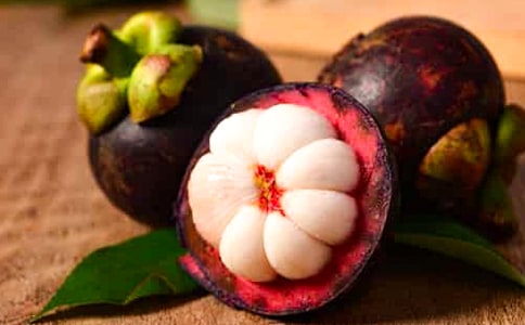 游南山竹海作文6篇(優(yōu)選)