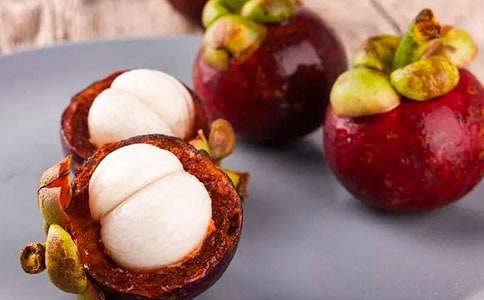 (推薦)游南山竹海作文