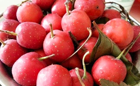 山楂樹之戀讀后感