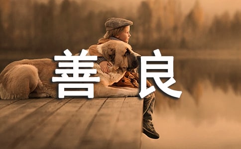 ��������ǂ��e����