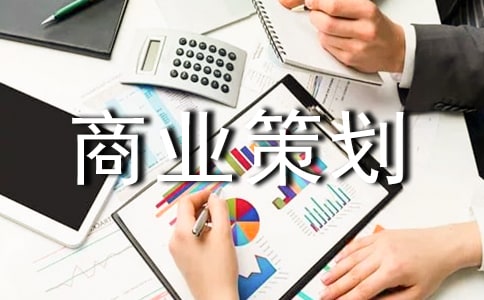 商業策劃(實用)