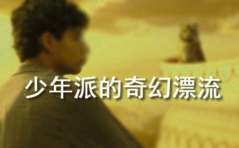 《少年派的奇幻漂流》觀后感(精選30篇)