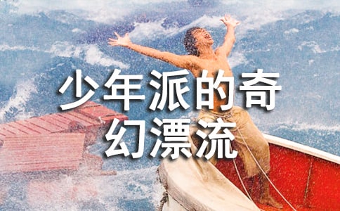 少年派的奇幻漂流觀后感(精選10篇)