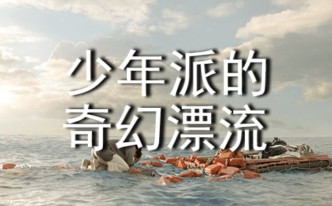 《少年派的奇幻漂流》小學(xué)觀后感