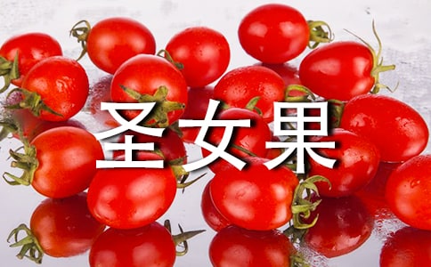 【必備】圣女果作文11篇