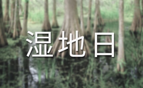 �������յ����}���ģ����x40ƪ��