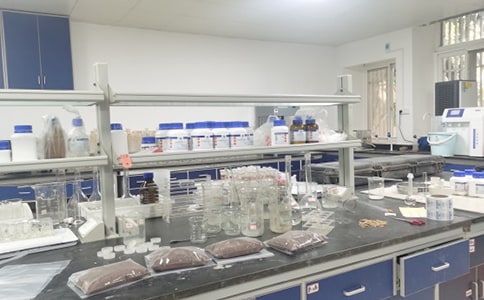 走進實驗室征文報告