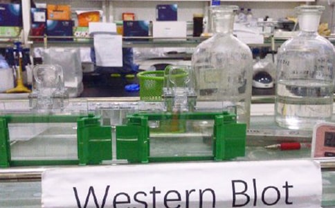 ������l�������ƶ�