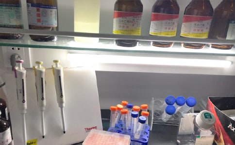 ����Ҍ��Ҏ�t(���x15ƪ)