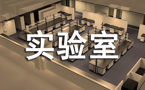 奇妙的實驗室作文(優選7篇)