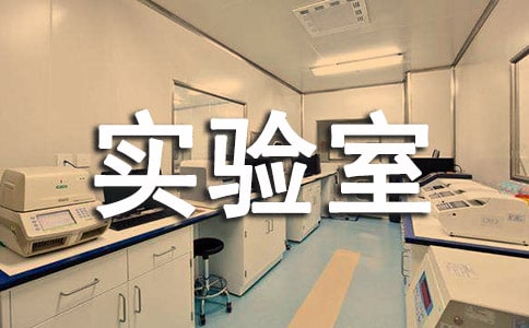 ����ҙn�������ƶȷ���[15ƪ]