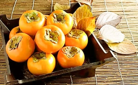 �����T��ժ��������15ƪ