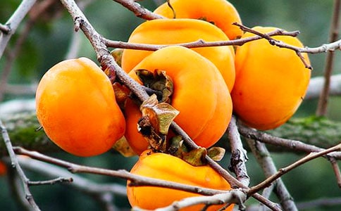 �P����������[�\��15ƪ]