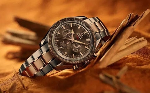 (精華)神奇的手表作文