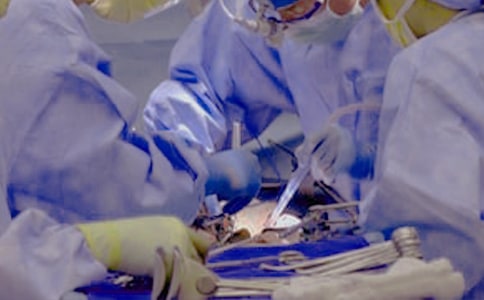 ���g���l�Y�b��