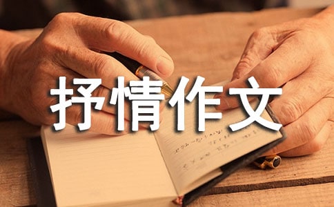 高中抒情作文700字:眼淚的重量