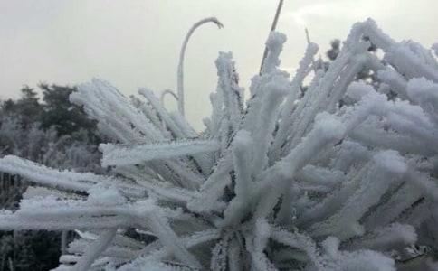 梅縣低溫霜凍的預報方法研究