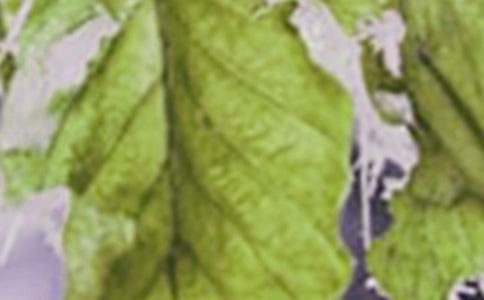 五味子霜凍害的防治