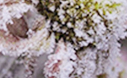 �P�h����˪�����c������