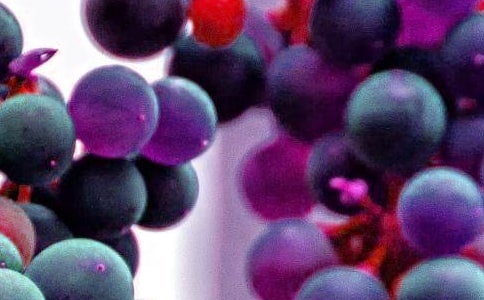 ��������Щ��ɫˮ�� �㽭�خa(ch��n)����Щˮ��