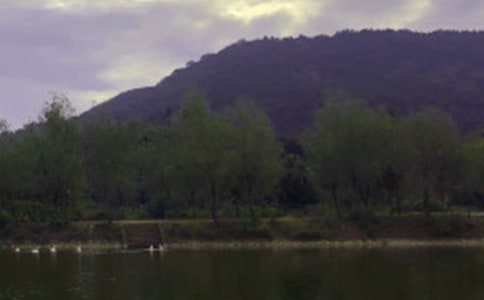 天堂里有沒有水庫_800字