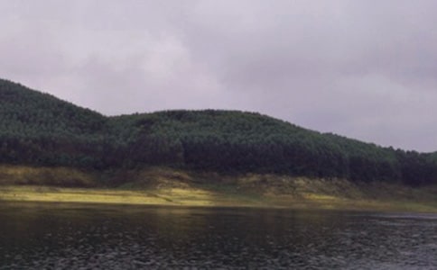 游桐溪水庫作文