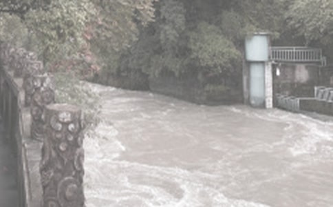 ˮ����������b����