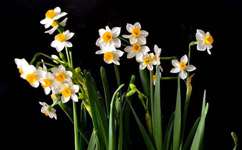 �O���䡶ˮ���ӡ����С�ɢ���p��