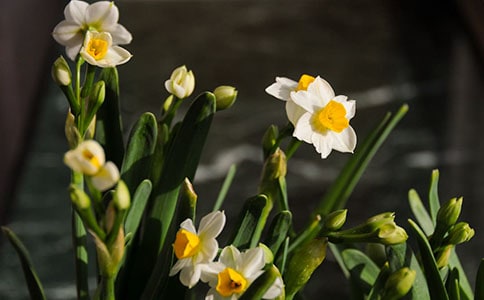 �C�[�P�������xˮ��ԭ�ļ��p��