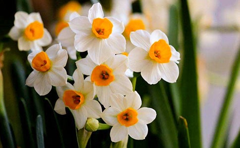 ˮ�ɻ�����(���x15ƪ)