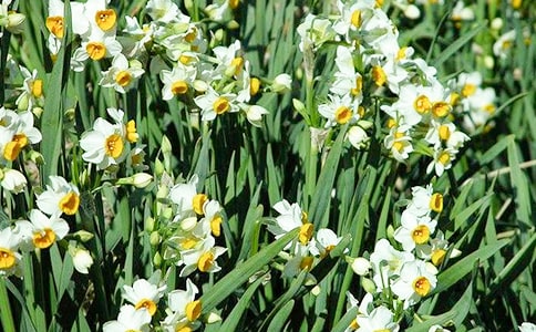 ˮ�ɻ�����[�R��15ƪ]