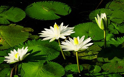 ˯ɏ�����ġ�����