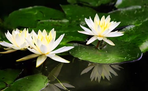 �P��˯ɏ����