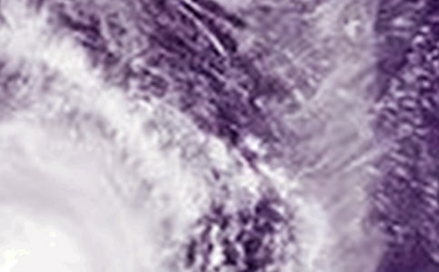 【通用】臺風的作文31篇