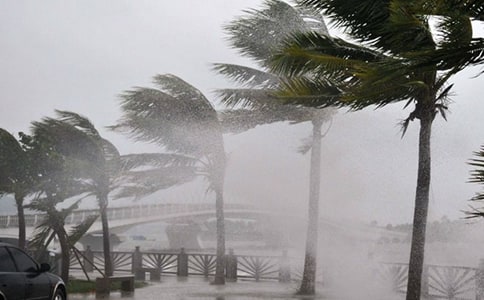 �_�L�^������15ƪ�����]��