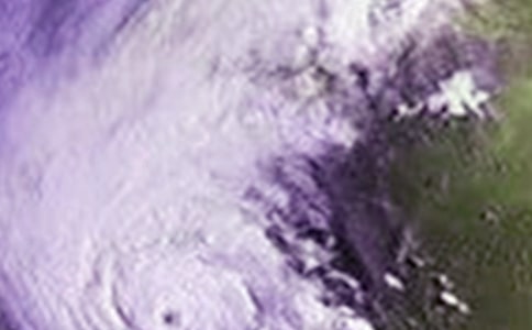 臺風過后作文15篇【實用】