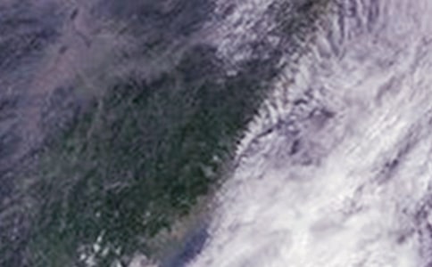 臺風來了作文15篇(熱)