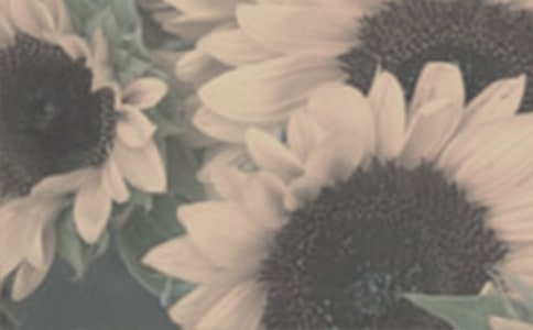 �����x��̫ꖻ�������ƪ