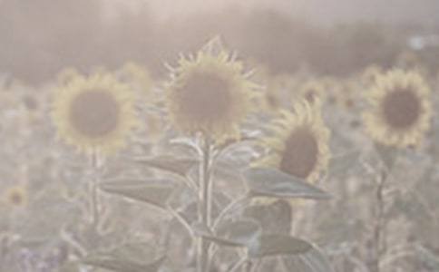 �N̫ꖻ���С�i�x���400��