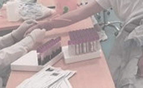 �y�����w�z����