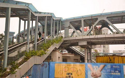 “綠化”天橋活動總結(jié)