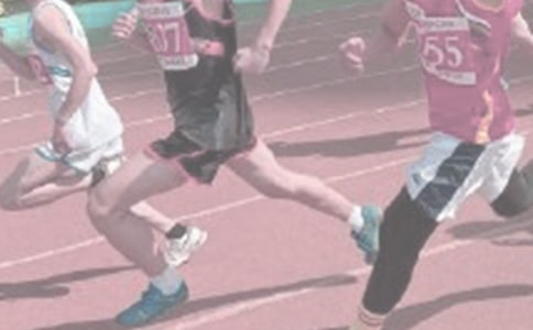 �Ӗ������