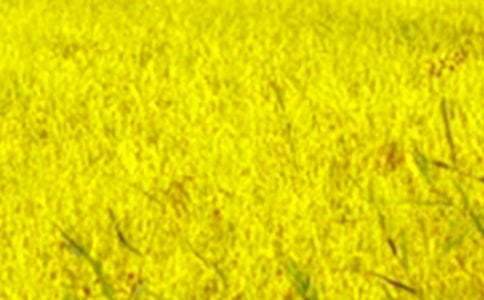 �ļ�����Ұ����