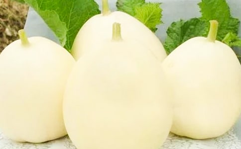 厚皮甜瓜新品種「紅星」及栽培技術要點