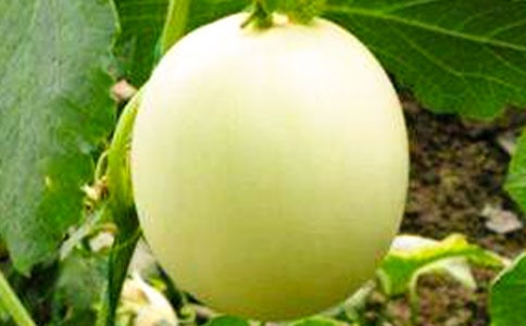 �޽ӌ���Ƥ����B�����պ͹���Ʒ�|��Ӱ�