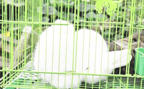 �Ї����ӵ����x���